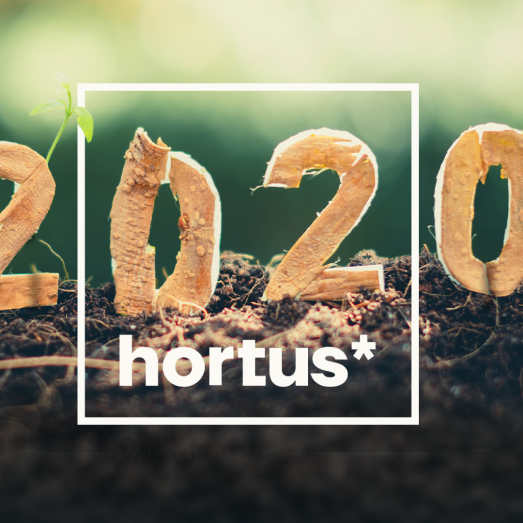 hortus logo with 2020 written in twigs on the ground