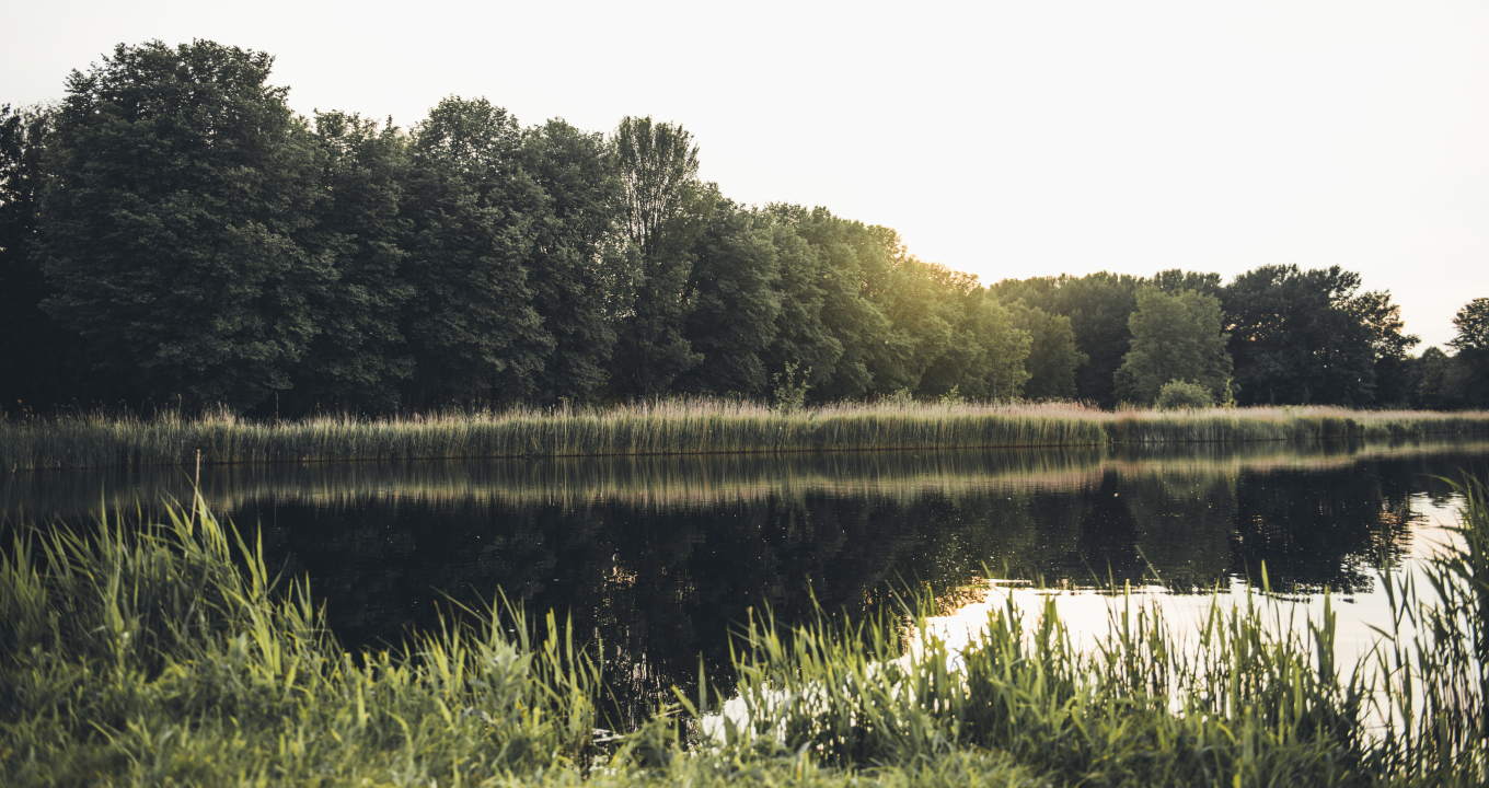 Tumbnail of the video